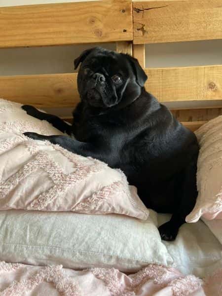 Testimonial - Jessica June