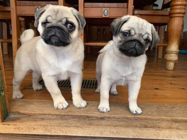 Sarah Nolan Testimonial